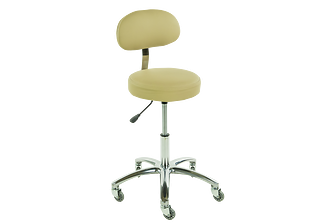 TouchAmerica ProStool with Back - Standard Height Option