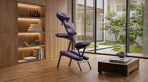 NRG Grasshopper Chair